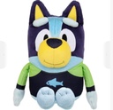 Assorted Talking Beach Bluey or Bingo * - Switch Adapted