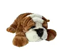 W-BULLDOGFACE.webp