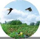 FGM7967.webp