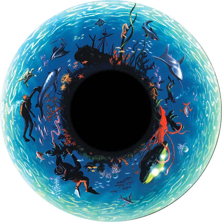 Effect Wheel Deep 6" magnetic