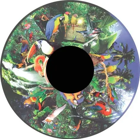 Effects Wheel Tropical Birds 6" magnetic
