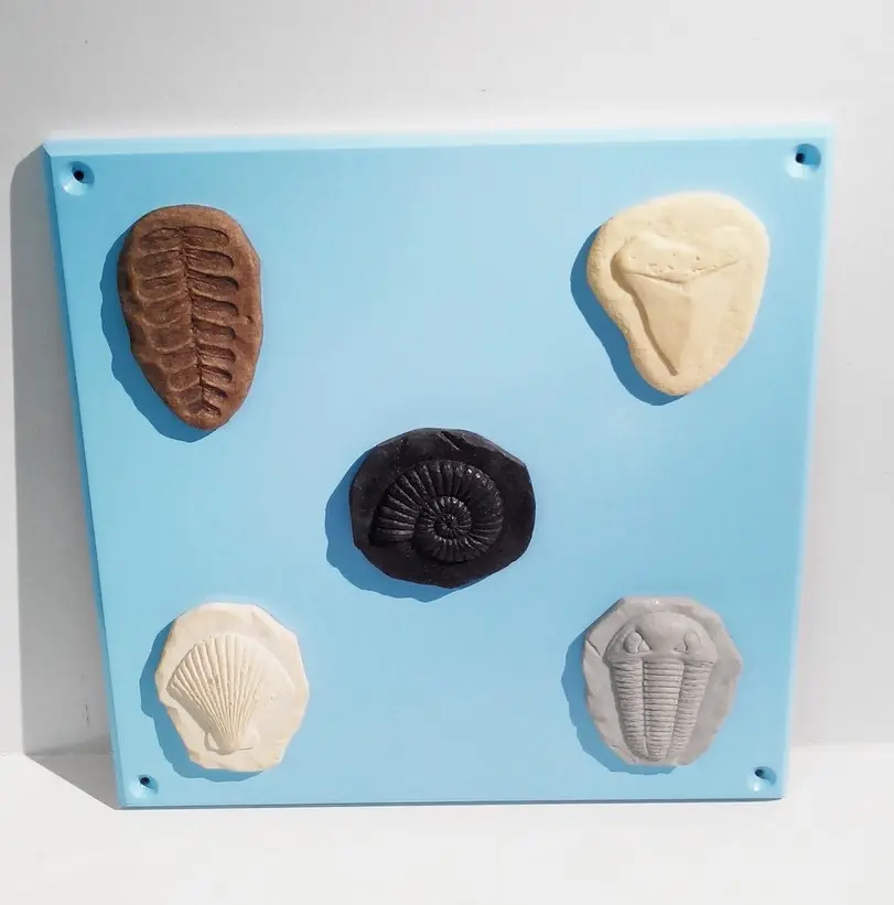 Activity Wall Panel - tactile Stone mix fossils 