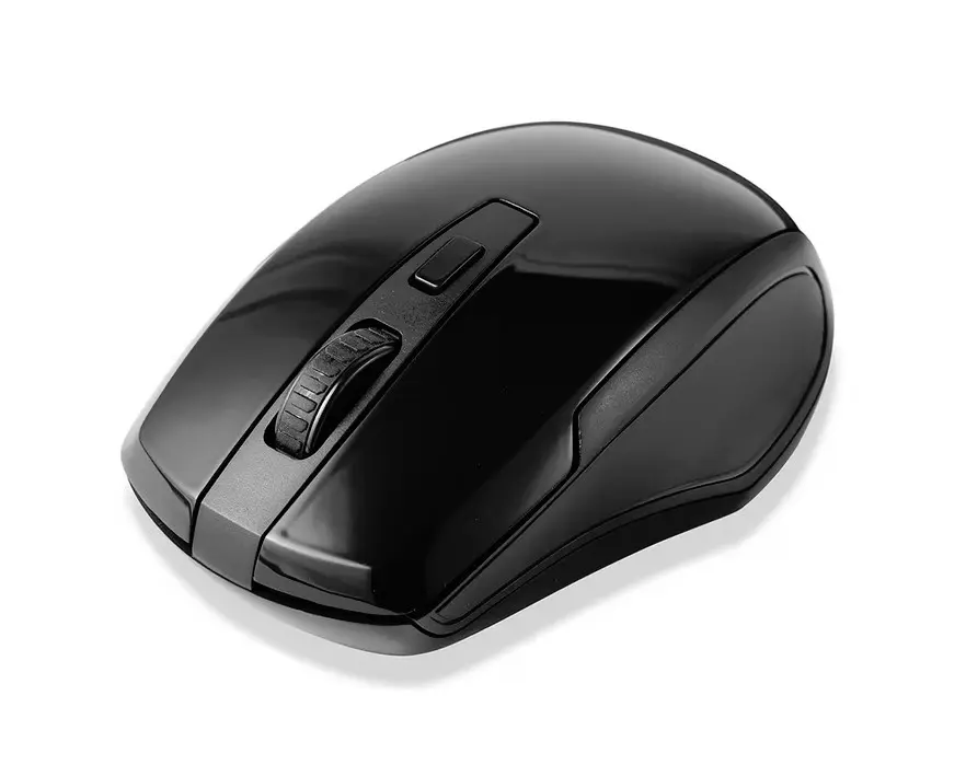 Wireless Mouse with USB adapter - Double Switch Adapted 