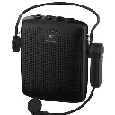 WinBridge WB002 15W Bluetooth Wireless Voice Amplifier