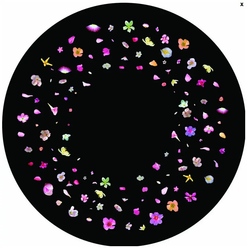 Effects Wheel Blossom 6" magnetic
