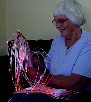 Fibre Optic Spray & LED Light-source 200 tails x 2m (KIT)