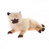 Plush Siamese Cat - weighted 1kg