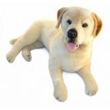 Plush Labrador Dog - weighted 2.5kg