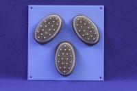 Activity Wall Panel - tactile brushes