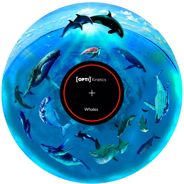 Effect Wheel Whales 6&quot; magnetic