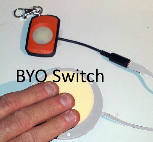 [RC-FOB43301L-A] Pendant Transmitter, Single Button, Switch Adapted