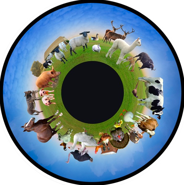 Effects Wheel Farm Animals 6&quot; Magnetic