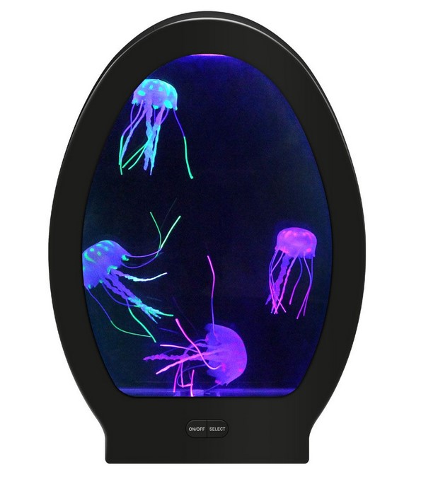 Arched Jellyfish Aquarium