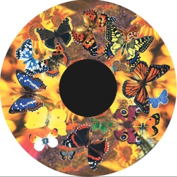 [FGM7270] Effects Wheel Butterflies 6&quot; magnetic