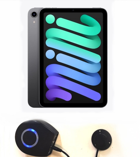 [HM6S+IPADM24-W256] HouseMate 6S+ IPAD Mini 2024 WiFi 256GB