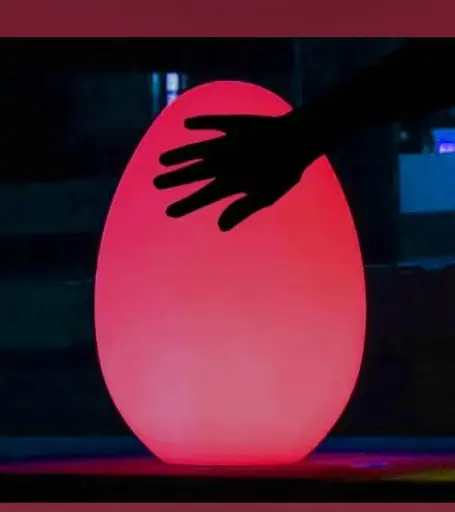 [KA9224] Genesis Egg LED Illuminator