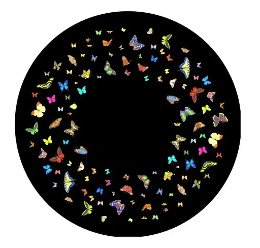 [FGM8102] Effects Wheel Papillon 6" magnetic 